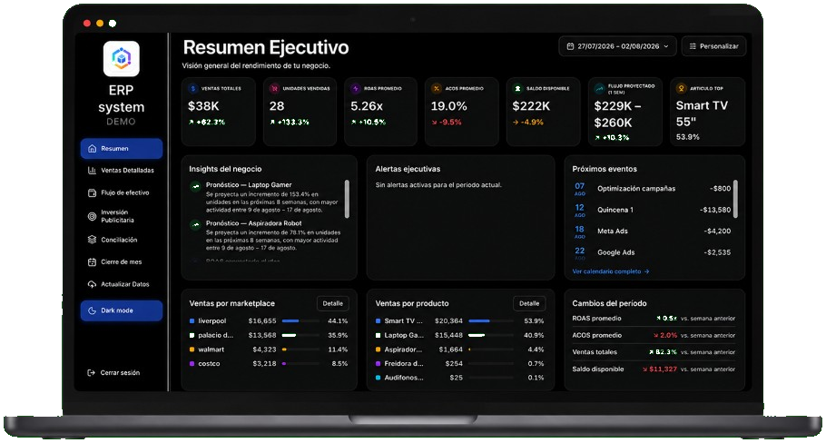 Demo ERP executive summary dashboard on a laptop with KPIs, insights, and sales breakdowns using demo data